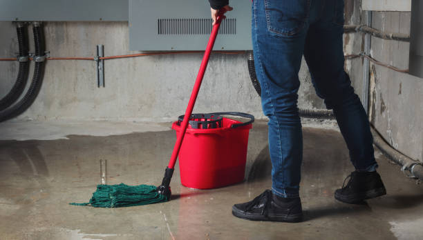 Best Sewage cleanup and water damage restoration  in Clarksville, VA