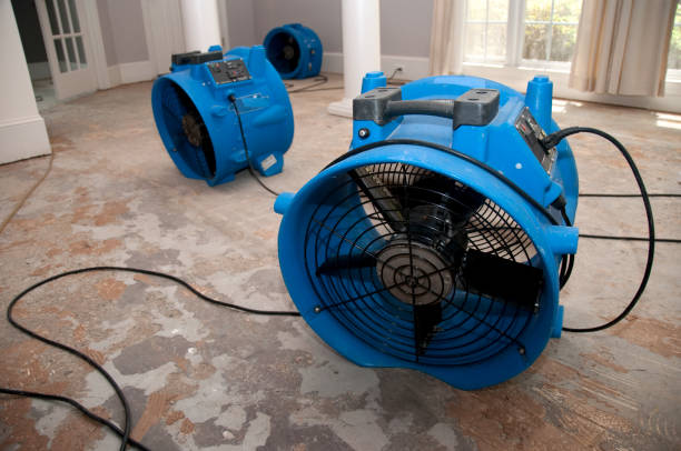 Best Water damage contractors near me  in Clarksville, VA