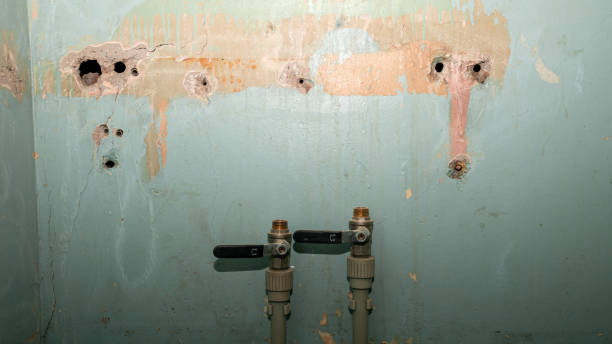 Best Basement water damage restoration  in Clarksville, VA