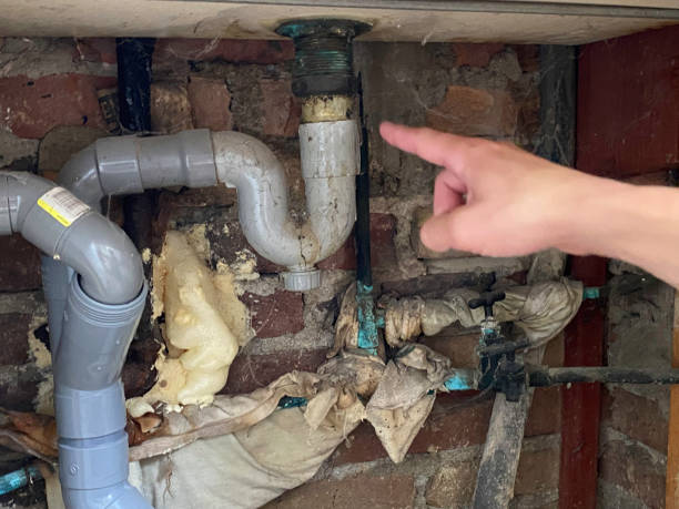 Best Water damage cleanup near me  in Clarksville, VA
